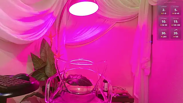 Shelly bat online show from 15, 2, 2026