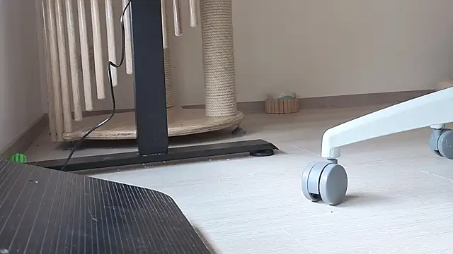 Snapshot of Feetbeth chatting on 6, 2, 2026 Feetbeth online show from 6, 2, 2026