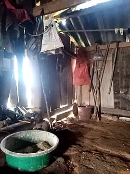 little-effy online show from 23, 3, 2026