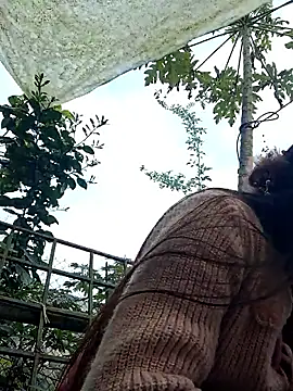 jikey- online show from 17, 2, 2026