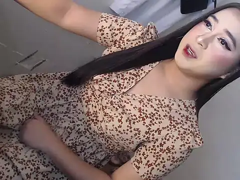 camelastarsairo online show from 11, 1, 2026