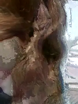 NovaMia online show from 7, 3, 2026