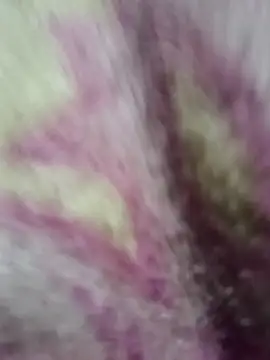 Lovely priya1001 online show from 14, 12, 2025