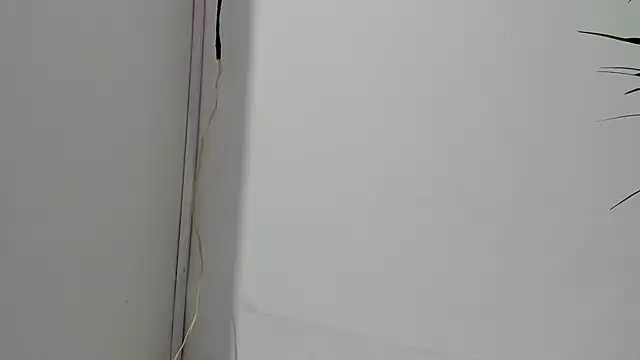 sebastamayo  online show from 26, 2, 2026