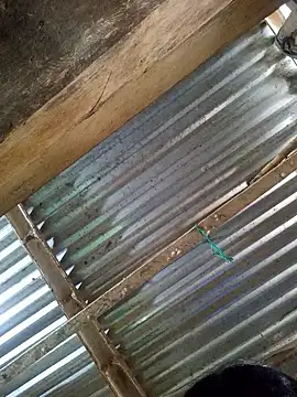 Rousse uwu online show from 8, 1, 2026