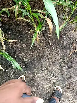 loki-king-143 online show from 24, 2, 2026