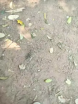 loki-king-143 online show from 13, 1, 2026