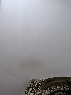 twinkarabboy online show from 17, 2, 2026