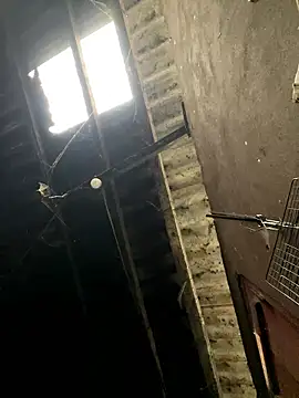 Nika-be online show from 17, 1, 2026