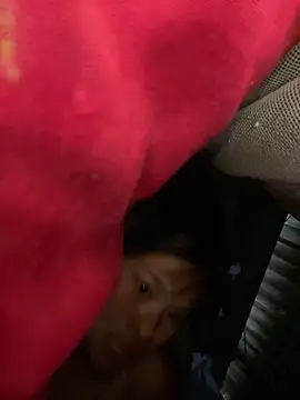 Nika-be online show from 8, 4, 2026