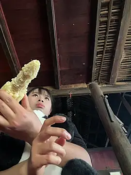 Nika-be online show from 26, 2, 2026