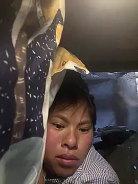 Nika-be online show from 21, 4, 2026