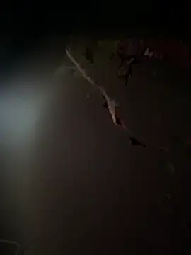 Themoroccandevil online show from 9, 3, 2026