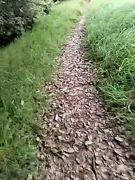 ZarayNero online show from 20, 2, 2026