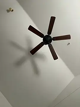 faces818 online show from 21, 3, 2026