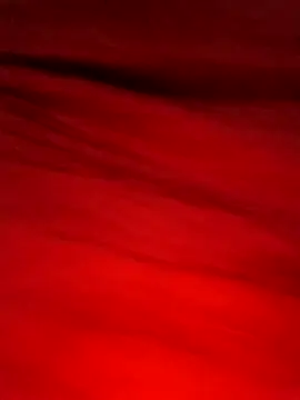 Maya Big55A online show from 3, 4, 2026