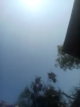 Pinki rajak online show from 10, 2, 2026