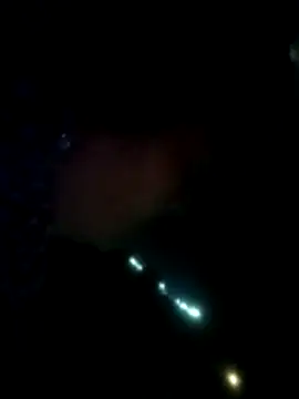 Pinki rajak online show from 7, 2, 2026