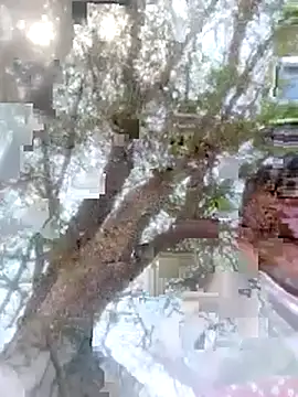 Pinki rajak online show from 23, 4, 2026