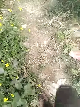 mohit08desi online show from 19, 1, 2026