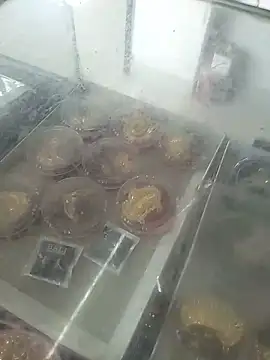 mohit08desi online show from 13, 6, 2026
