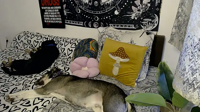 AlienforTwenty online show from 26, 2, 2026