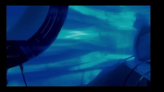 vickvalencia2 online show from 2, 3, 2026