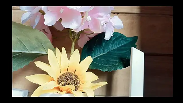 vickvalencia2 online show from 7, 5, 2026