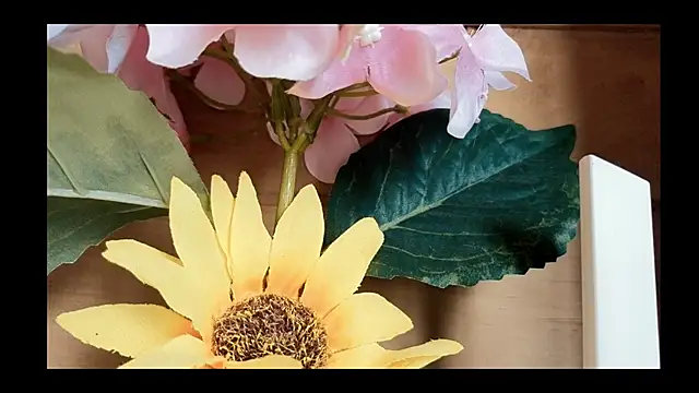 vickvalencia2 online show from 4, 5, 2026