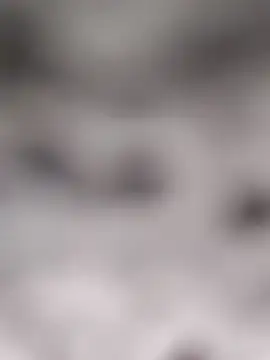 Akanksha soni online show from 8, 4, 2026