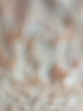 layanehot online show from 19, 12, 2025