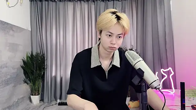 hafabva online show from 17, 4, 2026