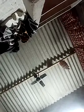 Shreya pandit online show from 23, 3, 2026