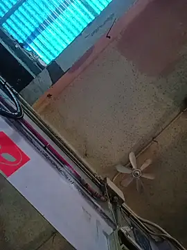 SnappedHagfish online show from 2, 4, 2026