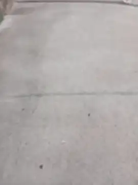 SnappedHagfish online show from 17, 6, 2026