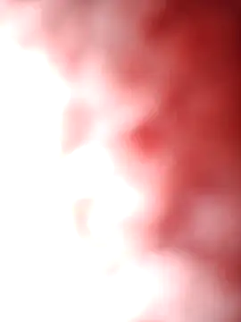 aman4404 online show from 11, 2, 2026