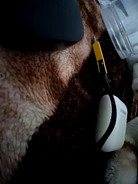 aman4404 online show from 31, 1, 2026