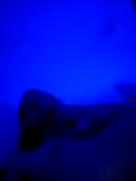 vladopen online show from 7, 1, 2026