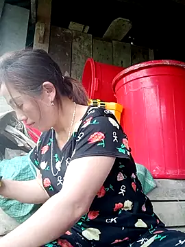 seacyre online show from 26, 3, 2026