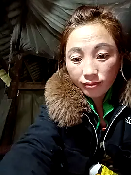 seacyre online show from 25, 2, 2026