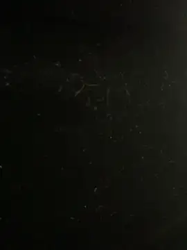 mengmeng776 online show from 10, 2, 2026