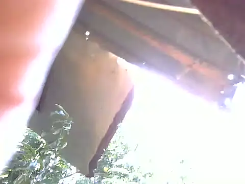 LadyPanda online show from 3, 2, 2026