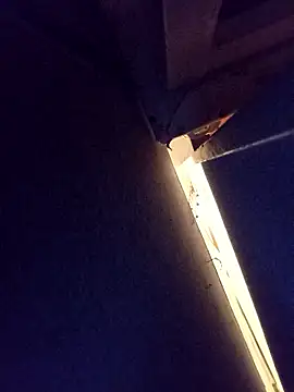 damslebambou1 online show from 14, 1, 2026