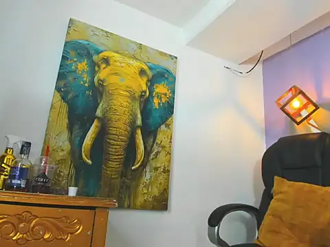 partyts online show from 12, 2, 2026