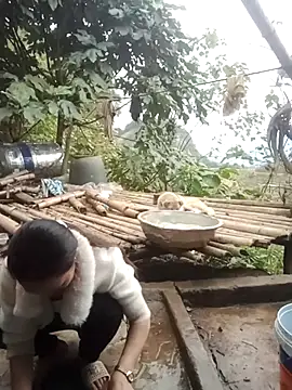 Girl cutee online show from 20, 2, 2026