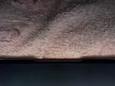 OherDav online show from 25, 2, 2026