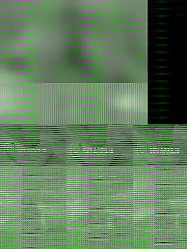 Uma pande online show from 21, 12, 2025