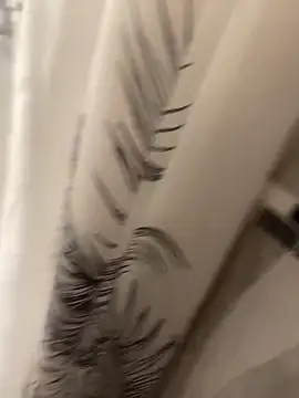 Miguel 667 online show from 15, 4, 2026