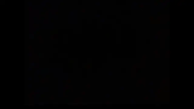 black shanu5 online show from 9, 5, 2026