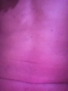 Dhadhe11 online show from 17, 12, 2025